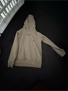 abercrombie kids Olive-Taupe Logo Hooded Sweatshirt